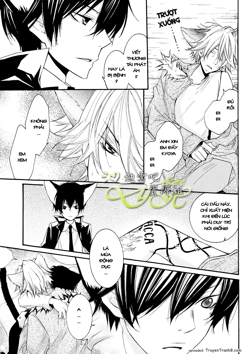 KHR Doujinshi - Il Lupo E L'agnello 2 - Full trang 11