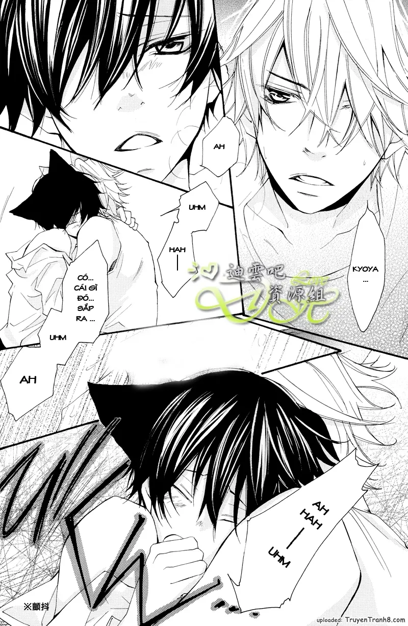 KHR Doujinshi - Il Lupo E L'agnello 2 - Full trang 17