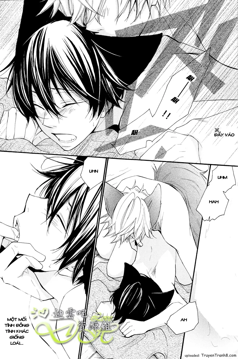 KHR Doujinshi - Il Lupo E L'agnello 2 - Full trang 21