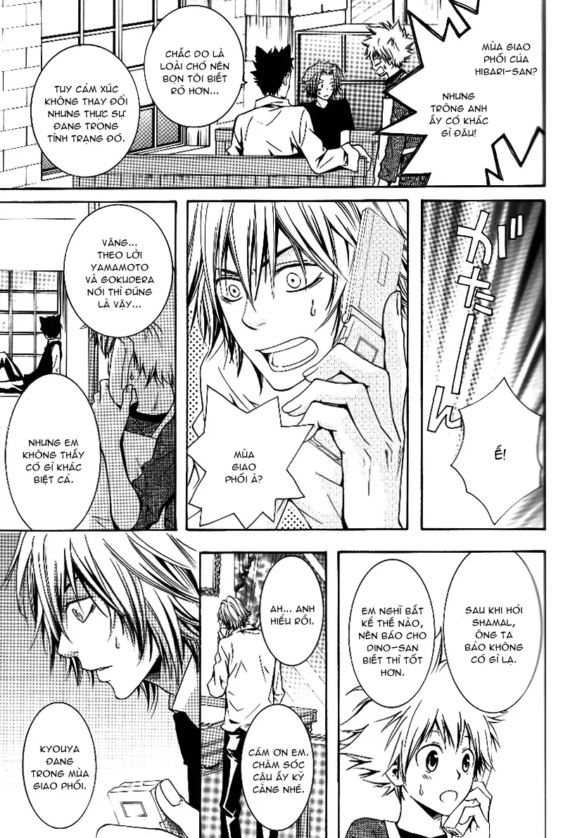 KHR Doujinshi - Cat Navigate - Full trang 11