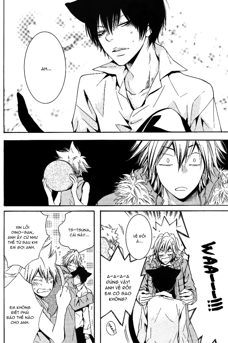 KHR Doujinshi - Cat Navigate - Full trang 14