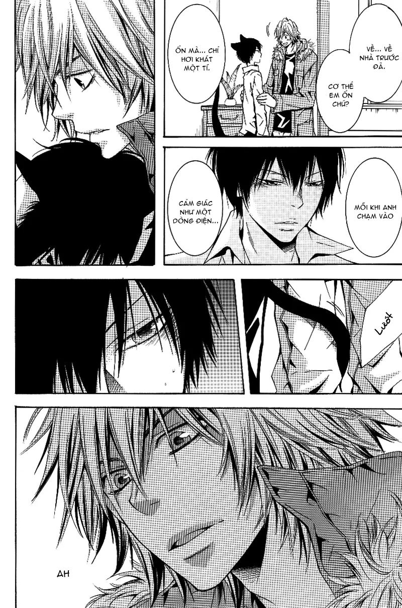 KHR Doujinshi - Cat Navigate - Full trang 16