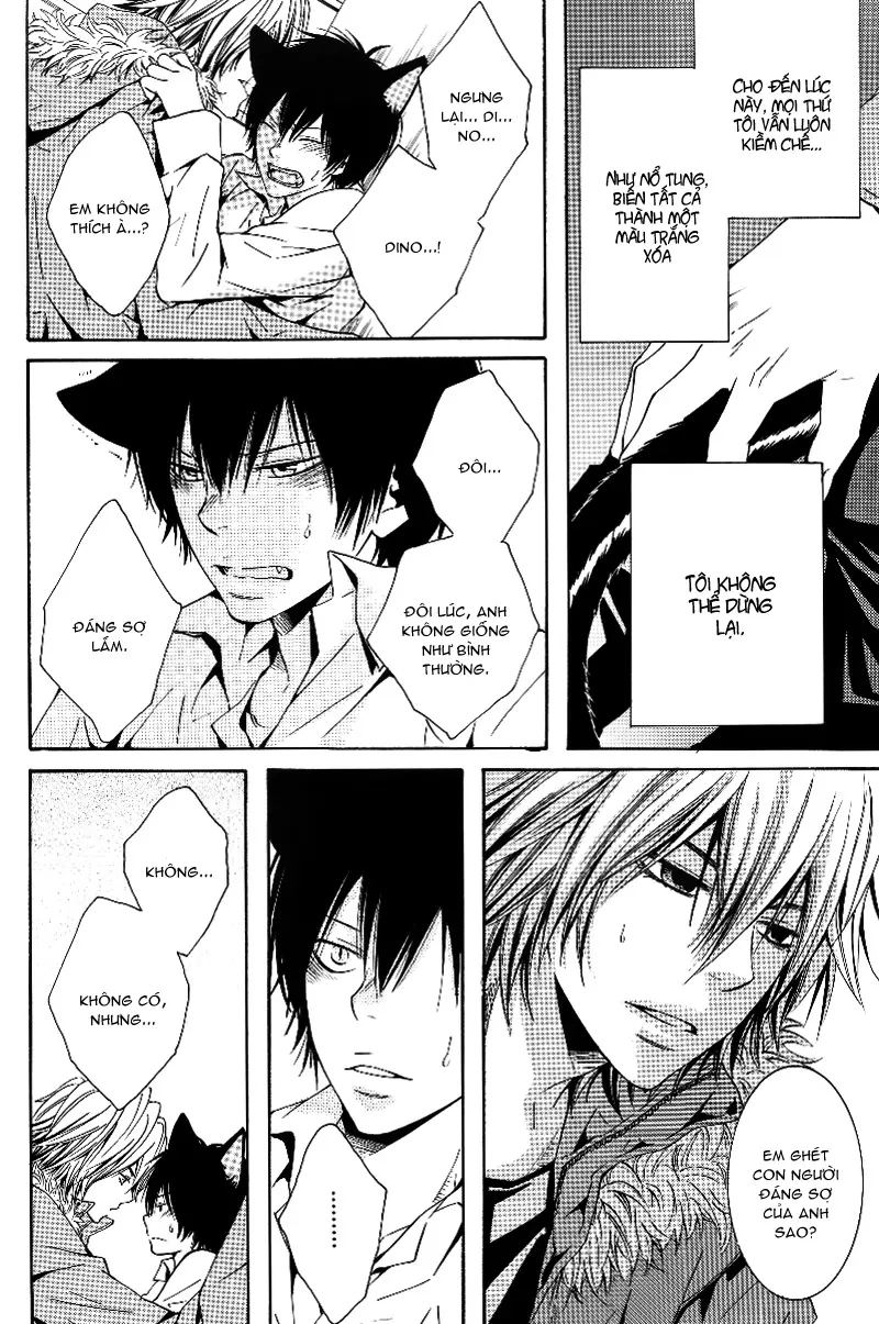 KHR Doujinshi - Cat Navigate - Full trang 18