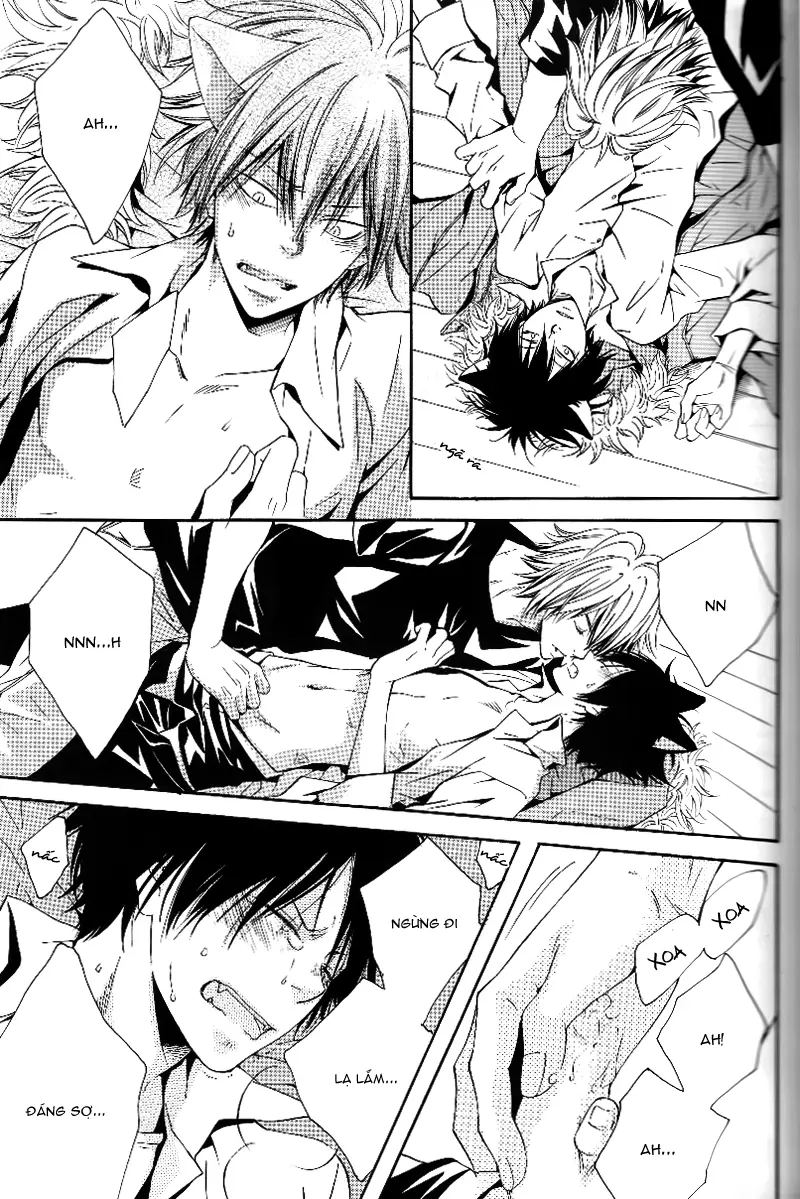 KHR Doujinshi - Cat Navigate - Full trang 19