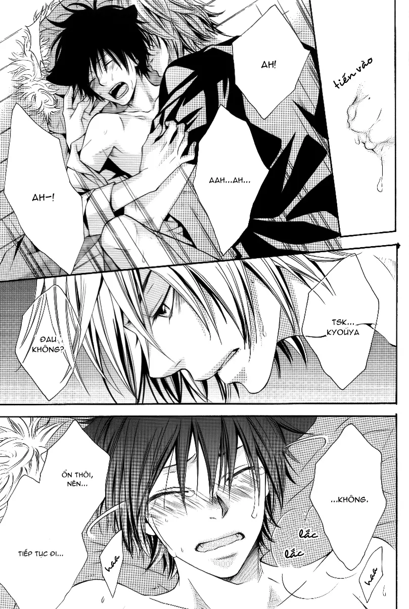KHR Doujinshi - Cat Navigate - Full trang 21