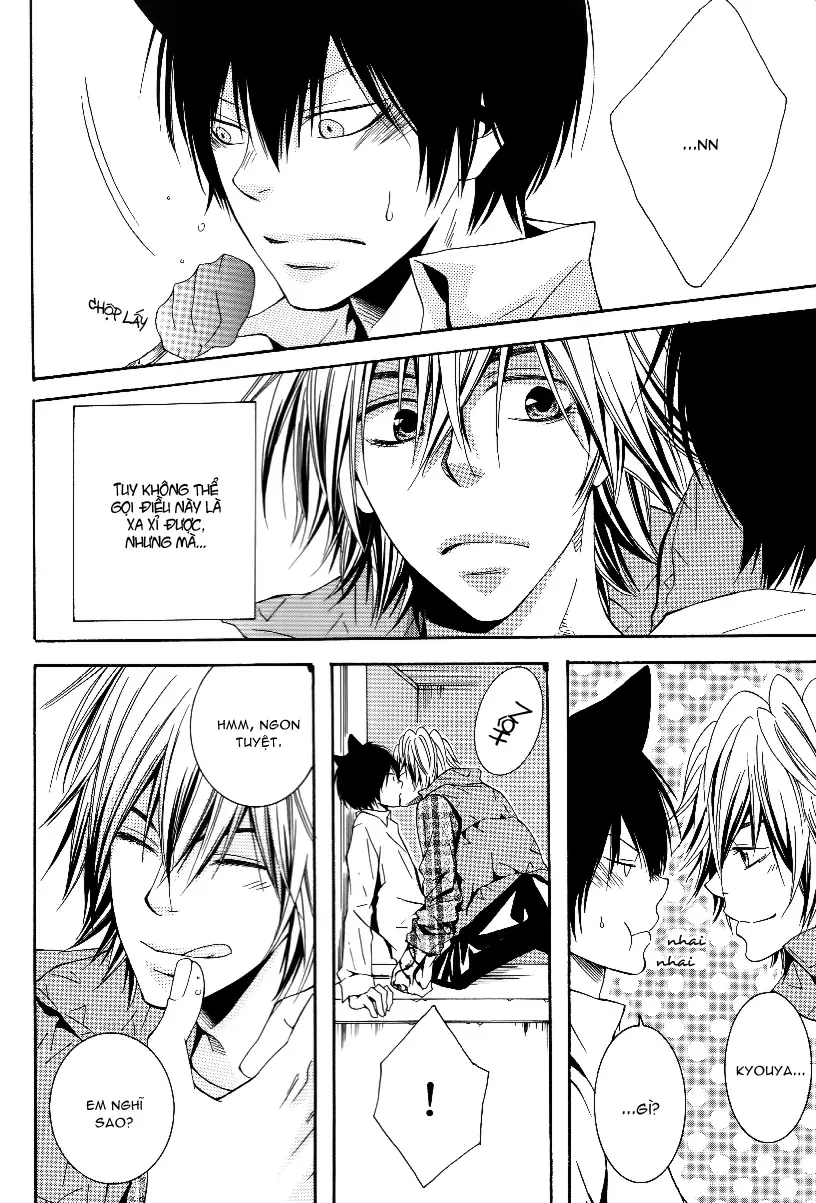KHR Doujinshi - Cat Navigate - Full trang 26