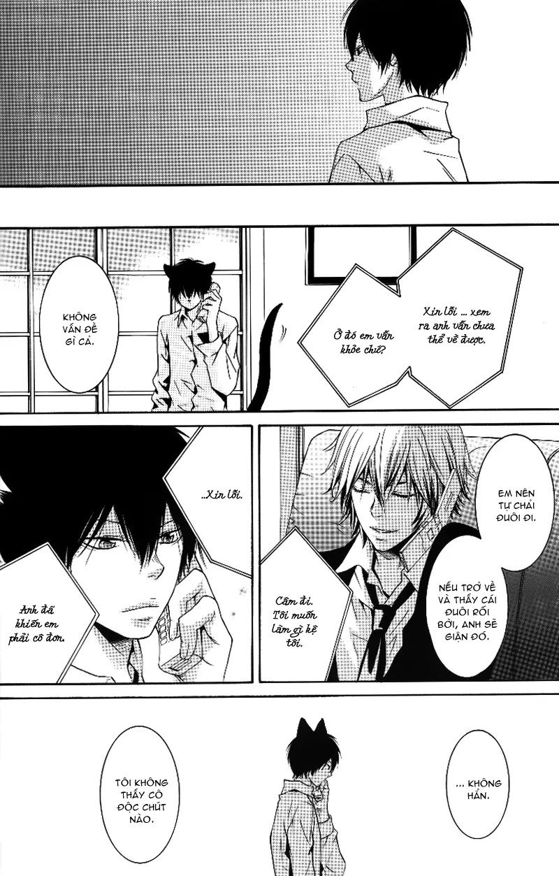KHR Doujinshi - Cat Navigate - Full trang 8