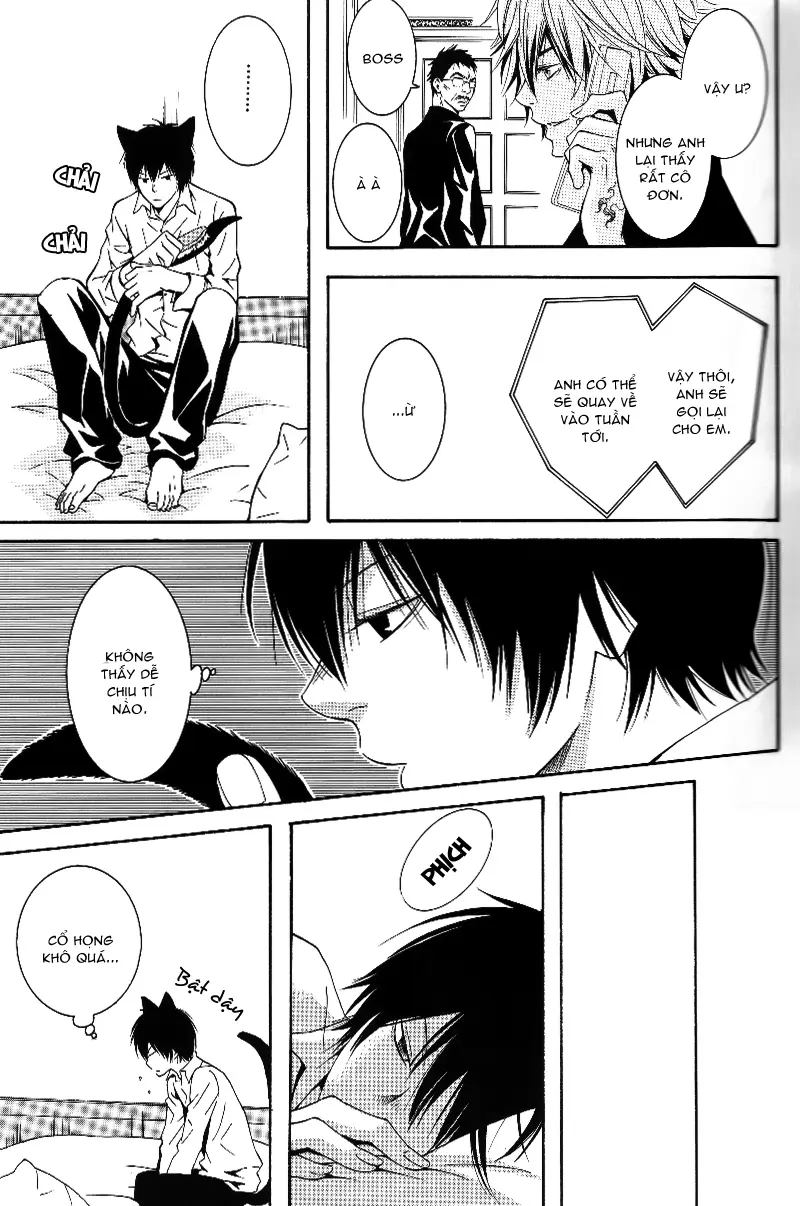 KHR Doujinshi - Cat Navigate - Full trang 9