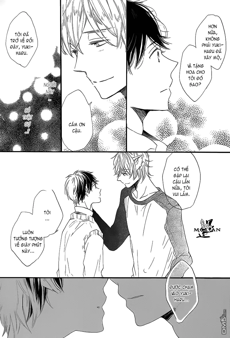 Neko No Yomeiri - Full trang 11