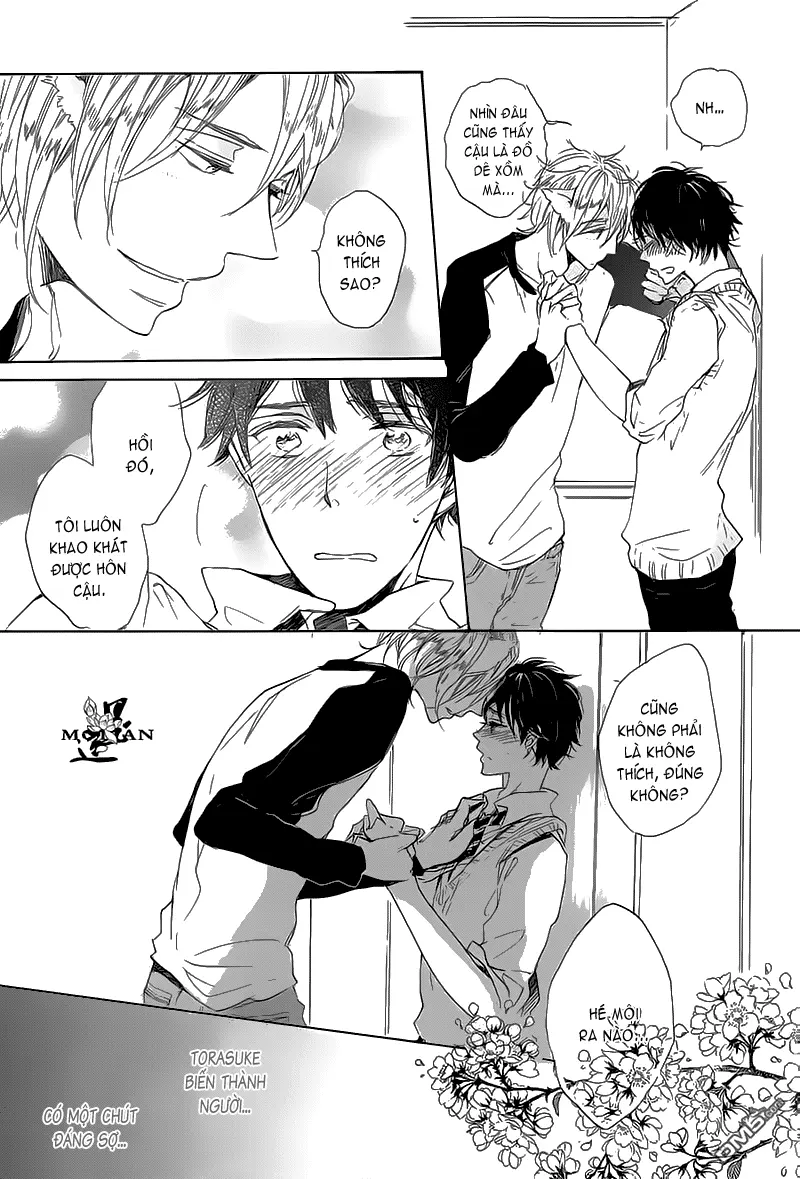Neko No Yomeiri - Full trang 16