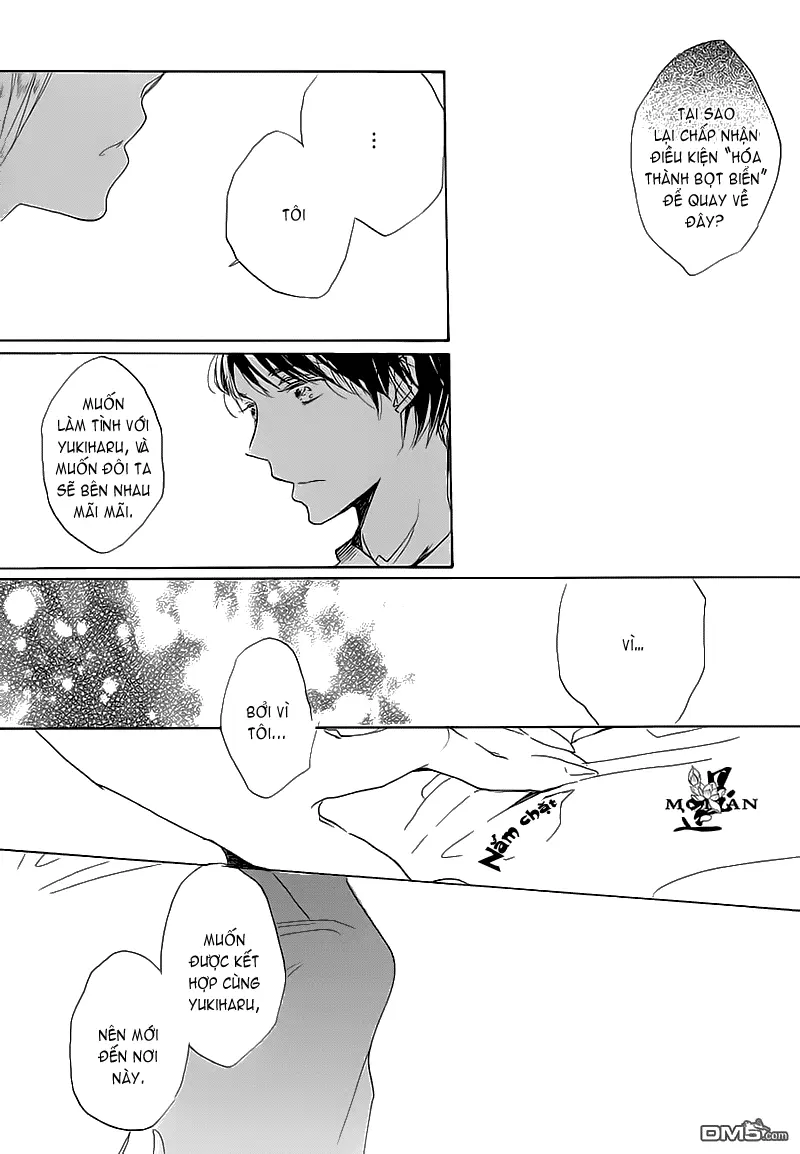 Neko No Yomeiri - Full trang 21