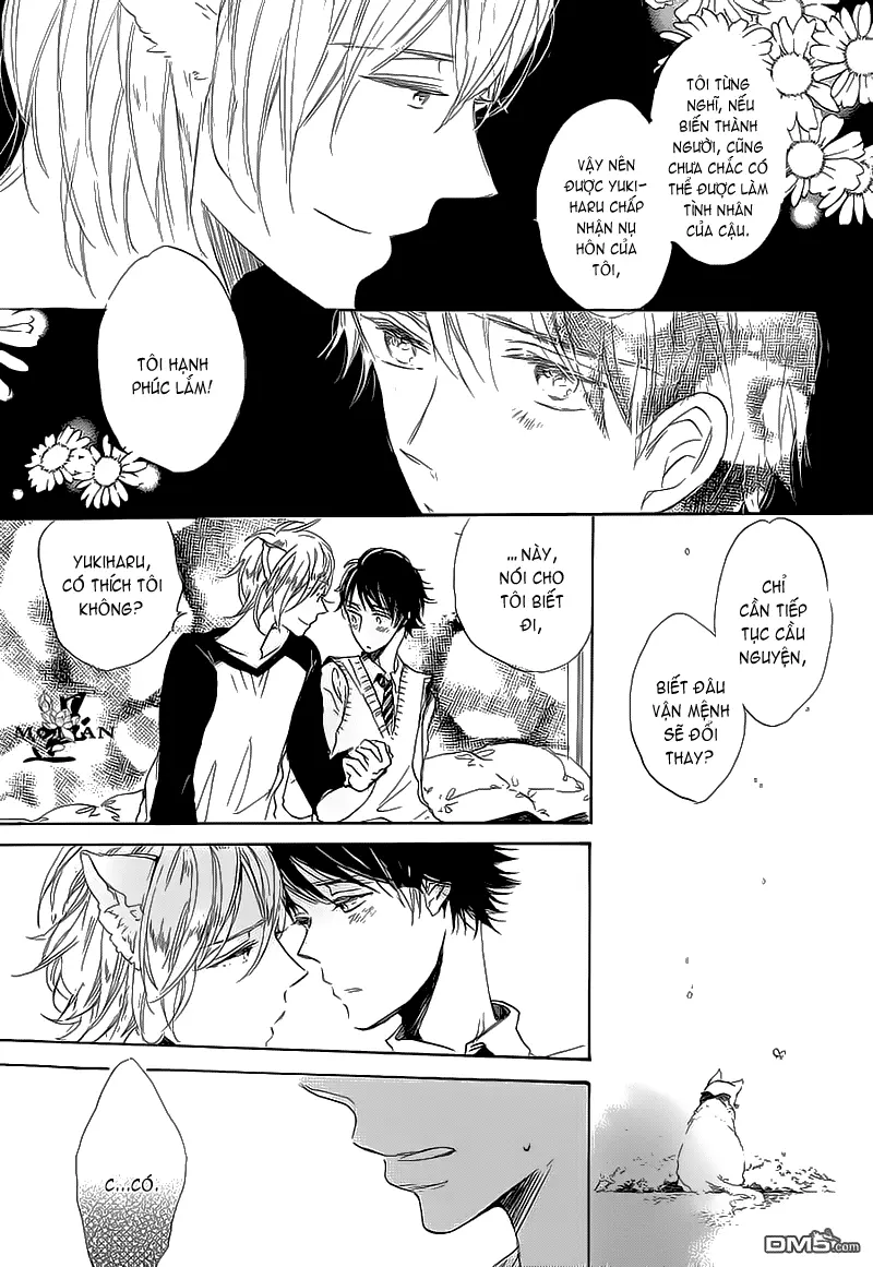 Neko No Yomeiri - Full trang 22