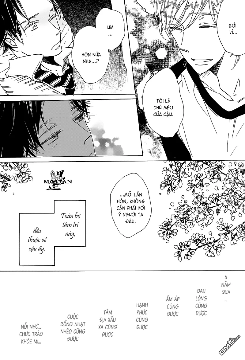 Neko No Yomeiri - Full trang 25