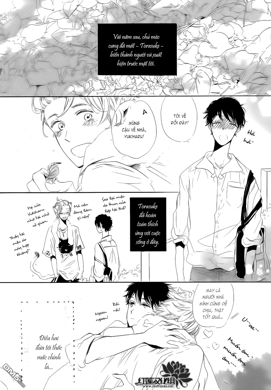 Neko No Yomeiri - Full trang 28