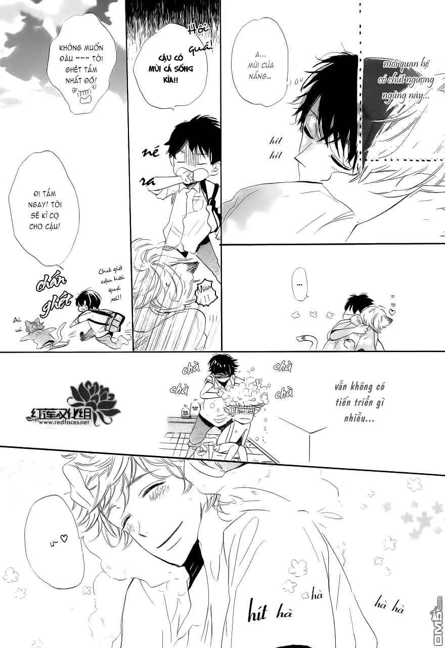Neko No Yomeiri - Full trang 29