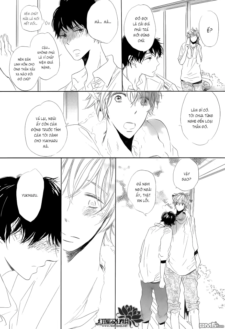 Neko No Yomeiri - Full trang 31