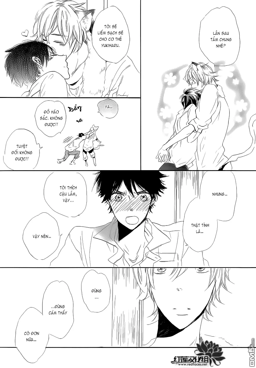 Neko No Yomeiri - Full trang 32