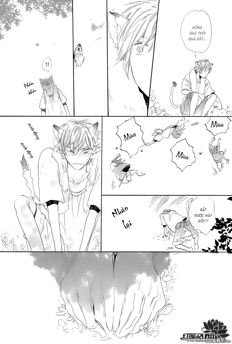 Neko No Yomeiri - Full trang 34