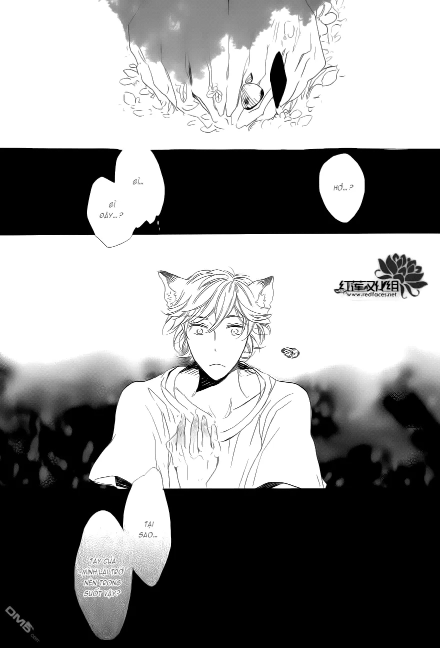 Neko No Yomeiri - Full trang 35