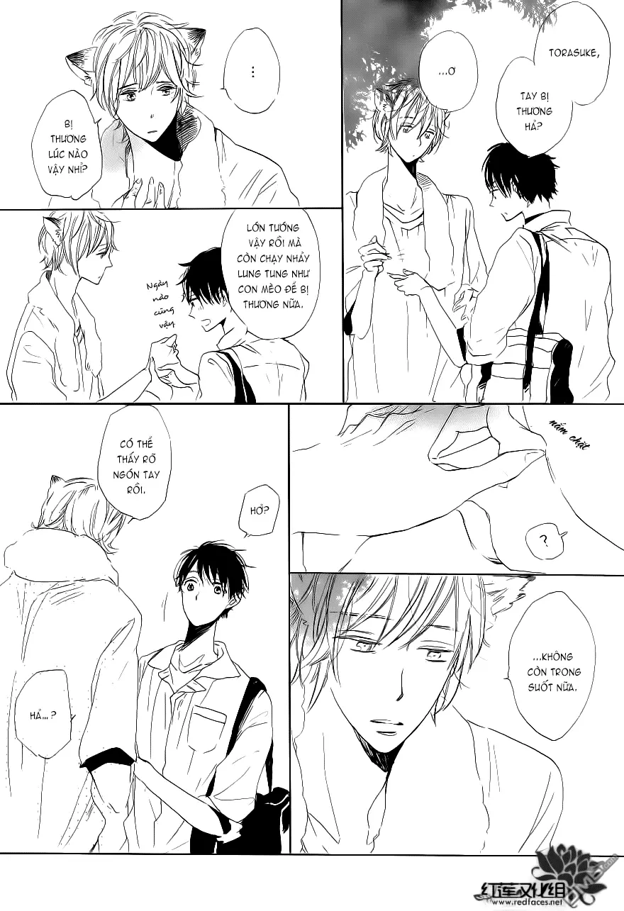 Neko No Yomeiri - Full trang 37