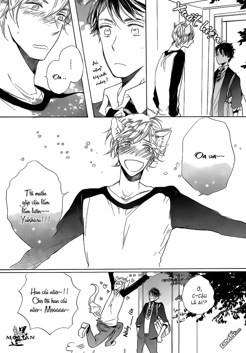 Neko No Yomeiri - Full trang 4