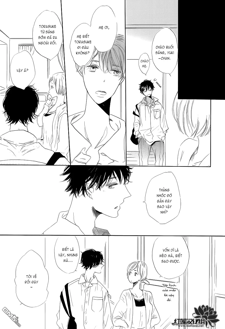 Neko No Yomeiri - Full trang 42