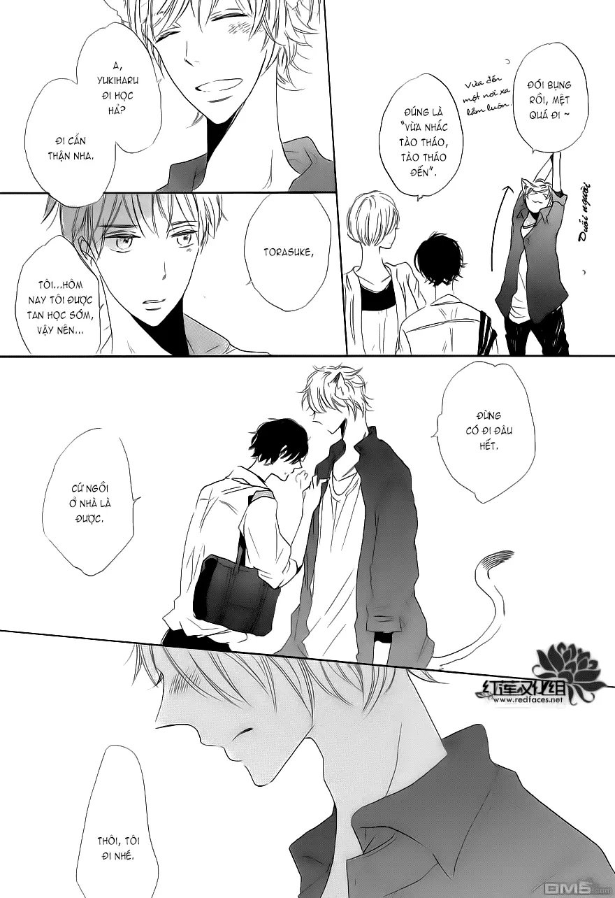 Neko No Yomeiri - Full trang 43