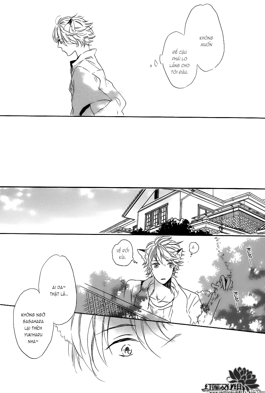 Neko No Yomeiri - Full trang 44