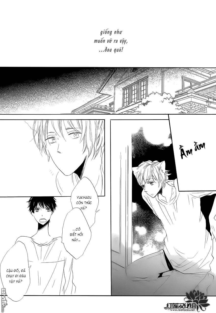 Neko No Yomeiri - Full trang 46