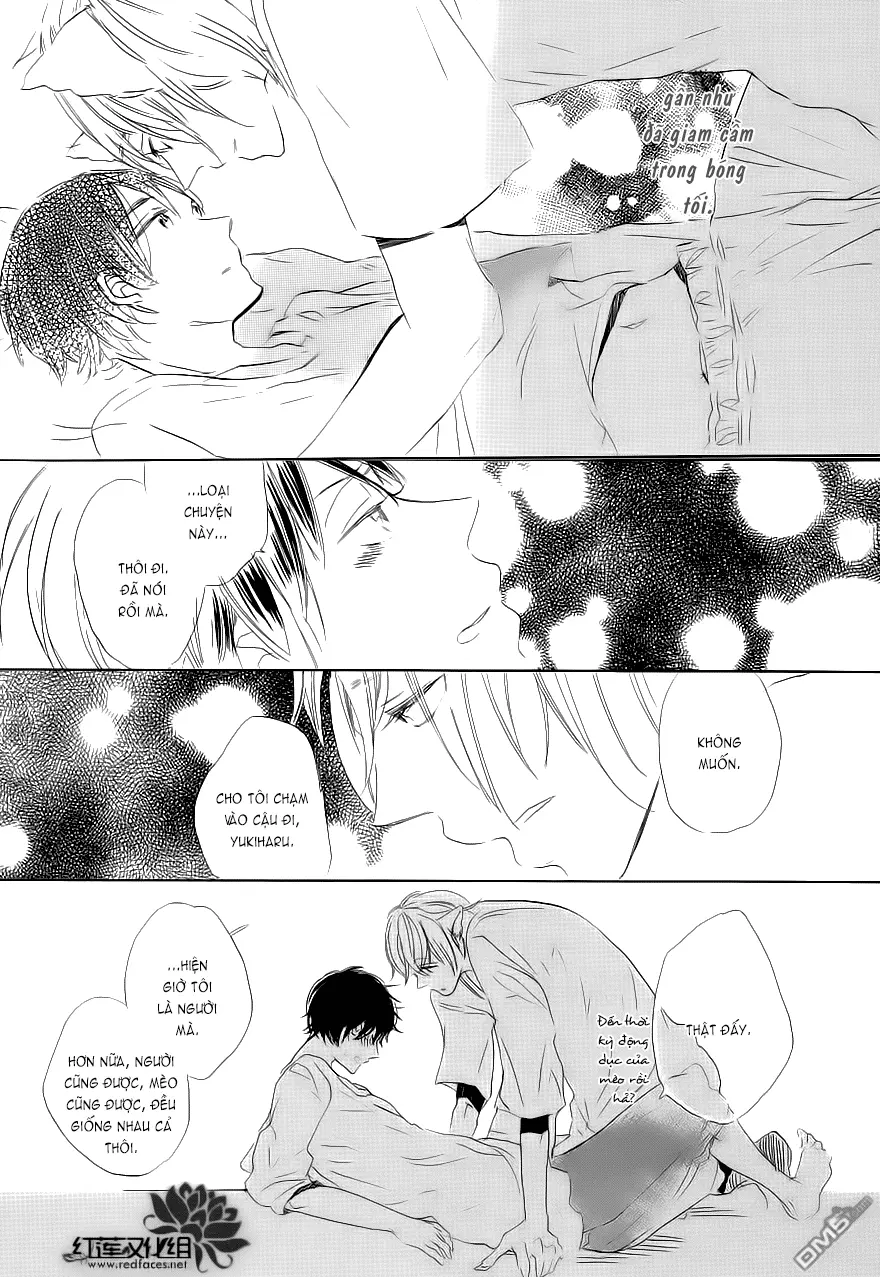 Neko No Yomeiri - Full trang 48
