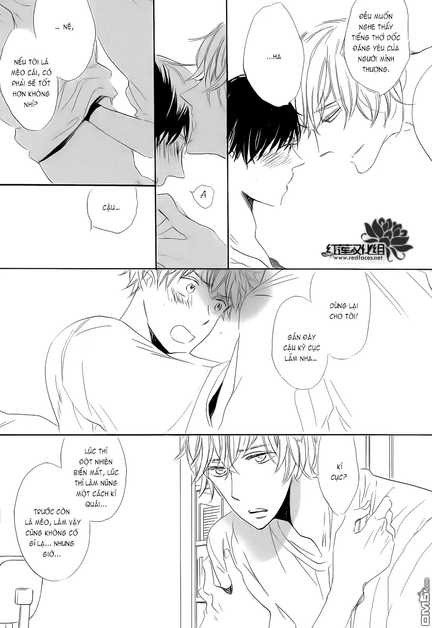 Neko No Yomeiri - Full trang 49