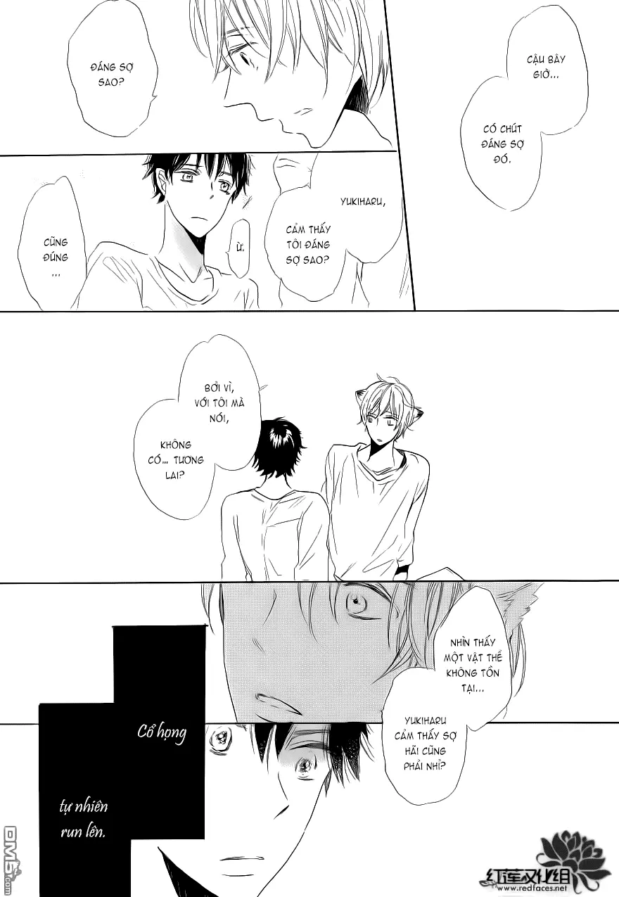Neko No Yomeiri - Full trang 50