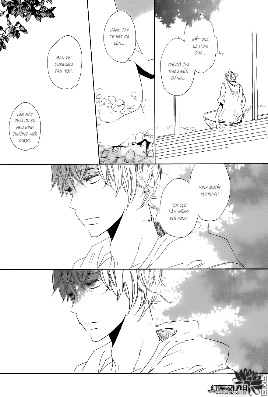 Neko No Yomeiri - Full trang 52