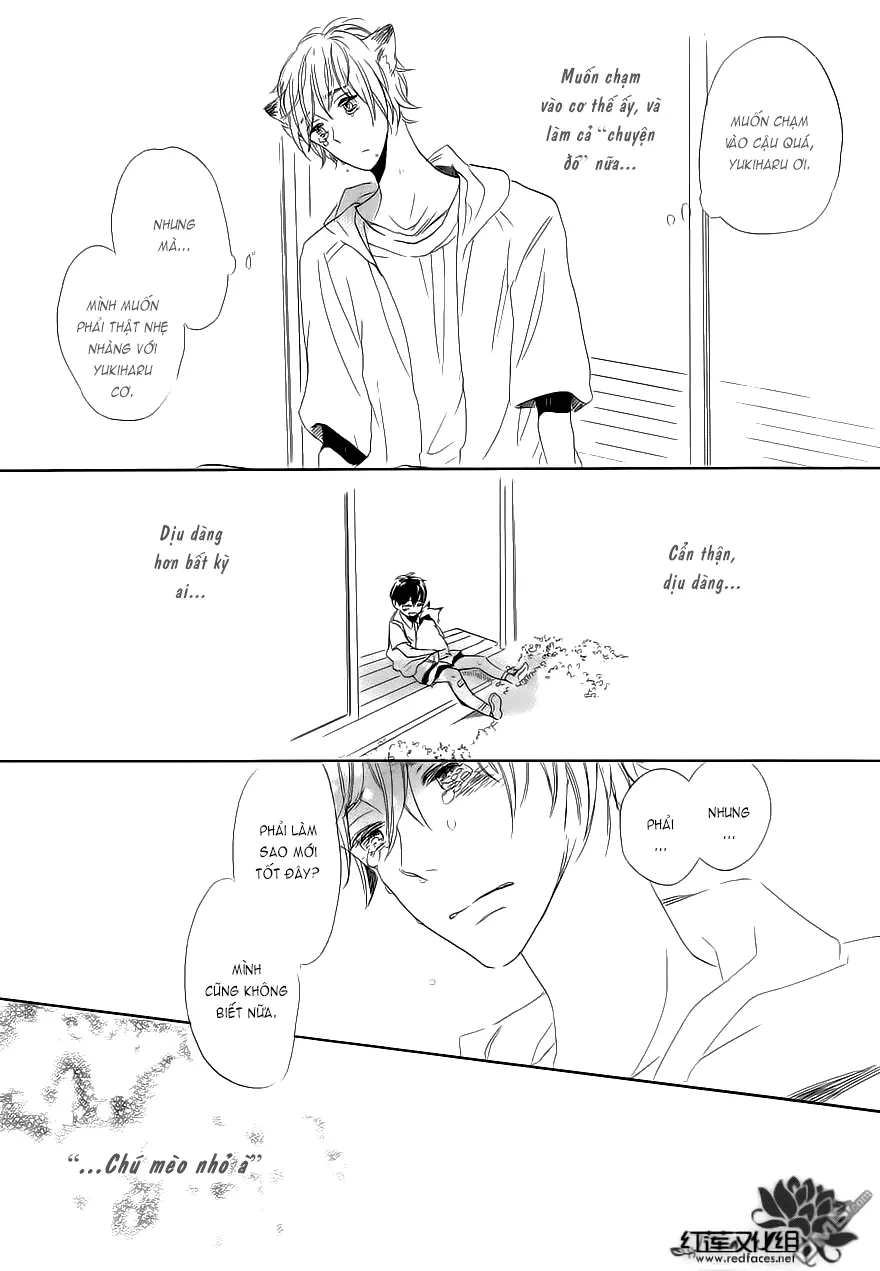 Neko No Yomeiri - Full trang 53