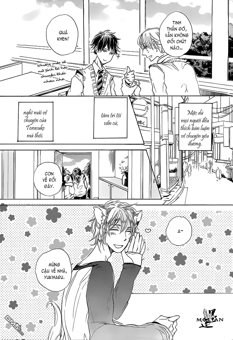 Neko No Yomeiri - Full trang 8