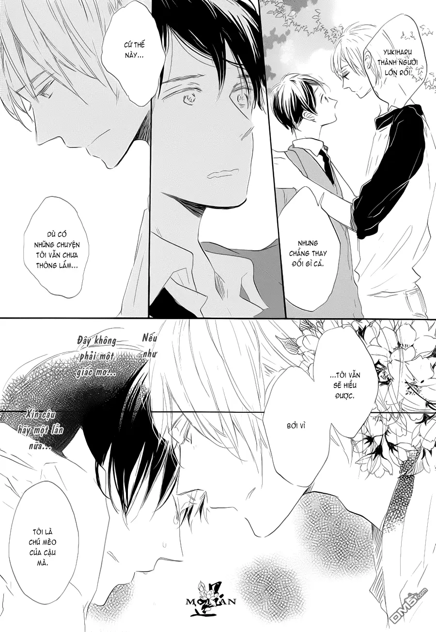 Neko No Yomeiri - Full trang 84