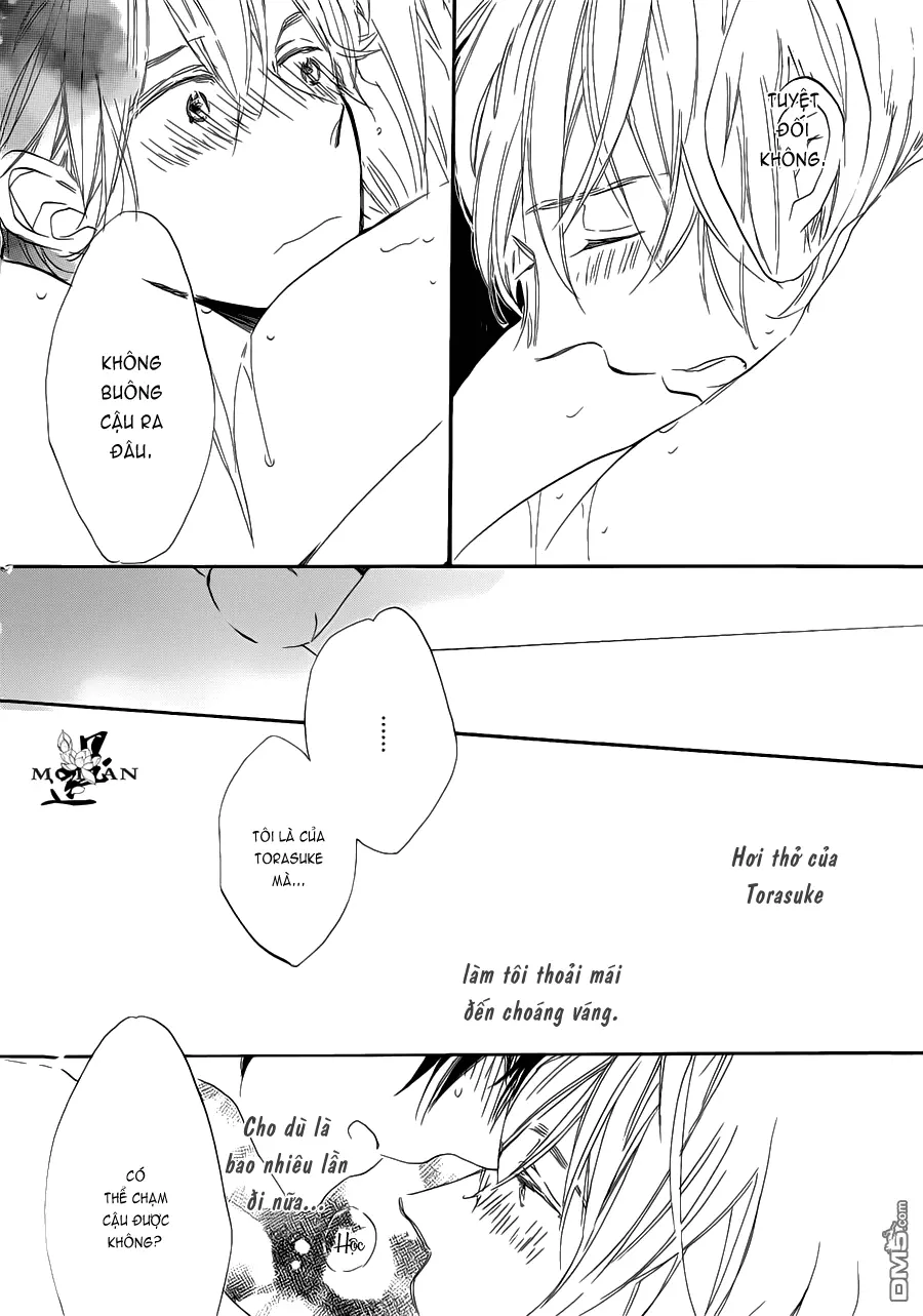 Neko No Yomeiri - Full trang 95