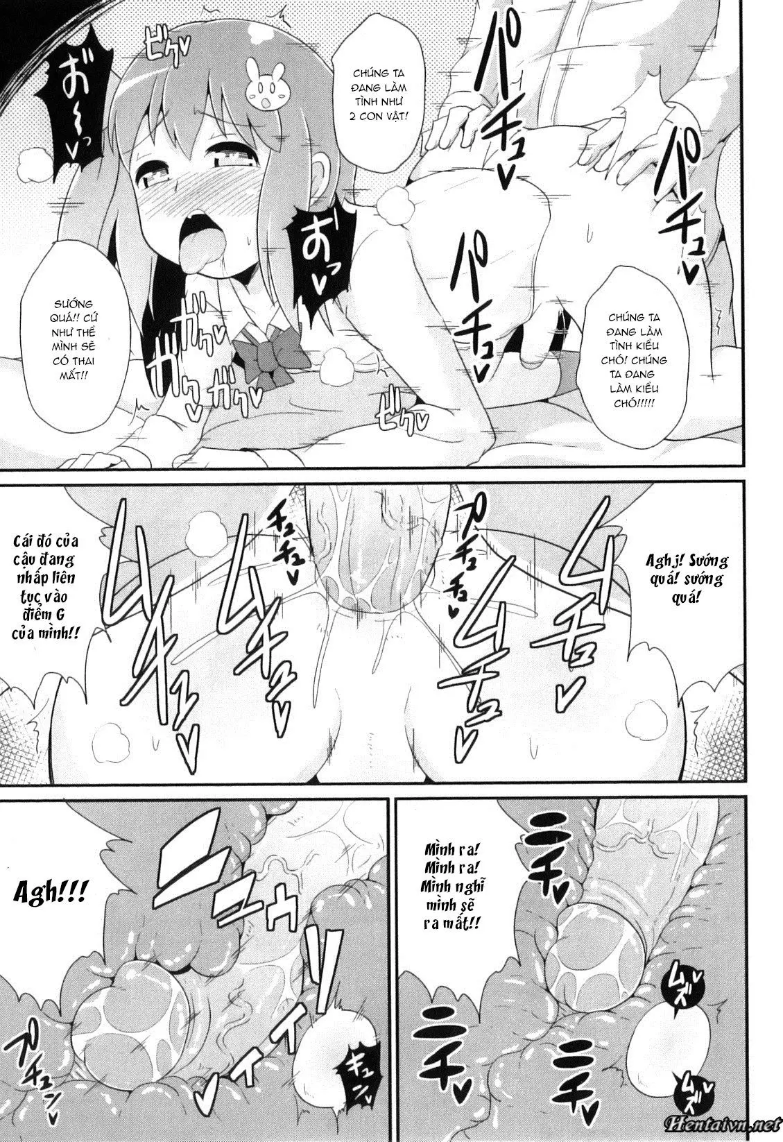 Osananajimi wa Koakuma Idol - Full trang 13