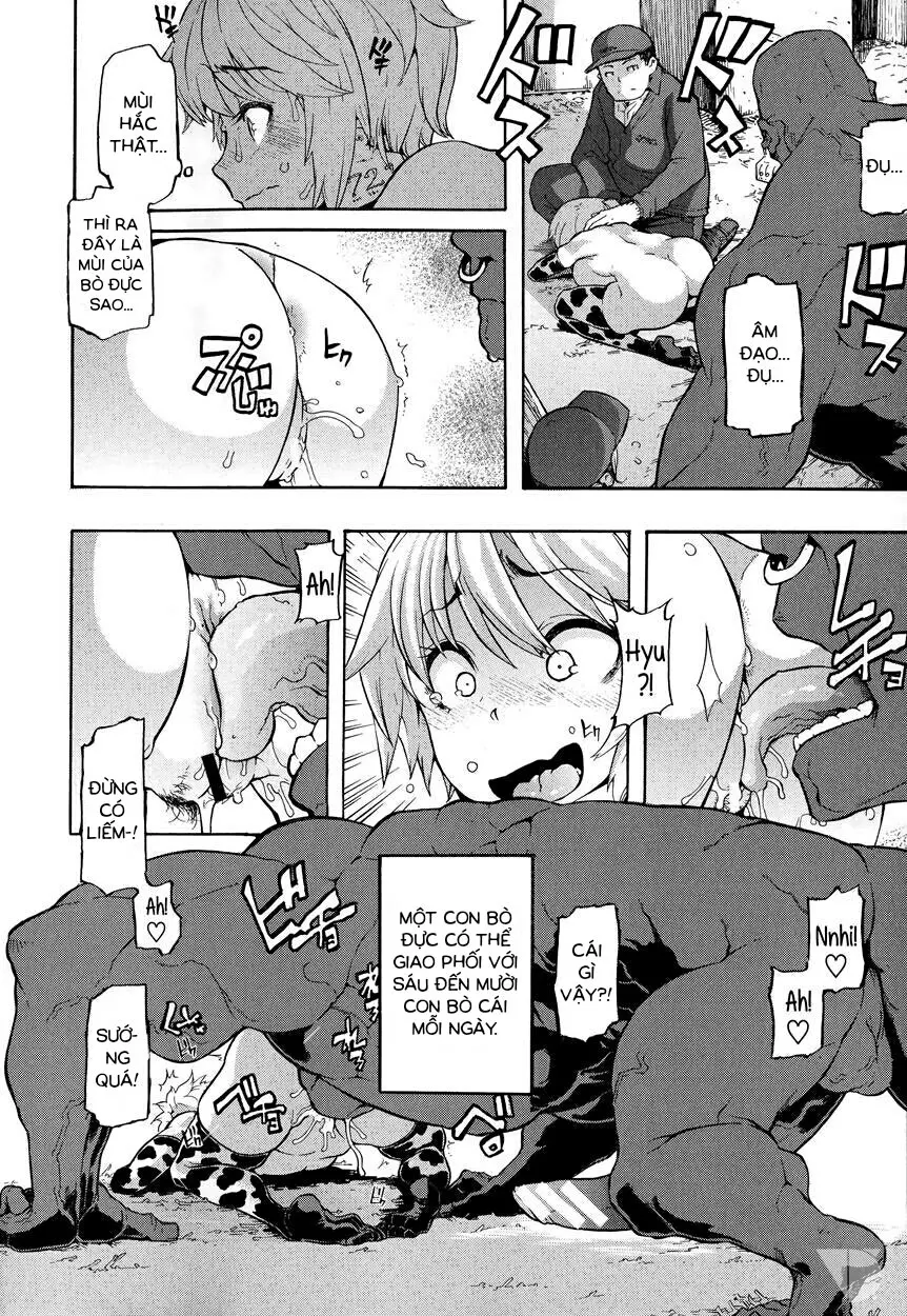 a Nyuugyuu life | a dairy cow's life - Full trang 10