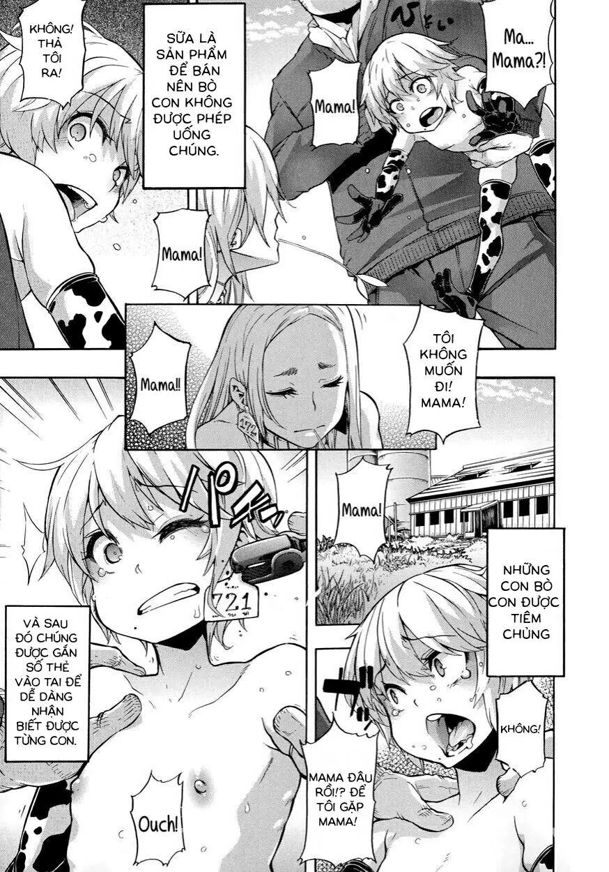 a Nyuugyuu life | a dairy cow's life - Full trang 3