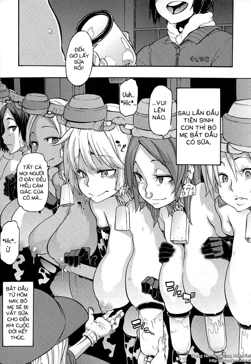 a Nyuugyuu life | a dairy cow's life - Full trang 31