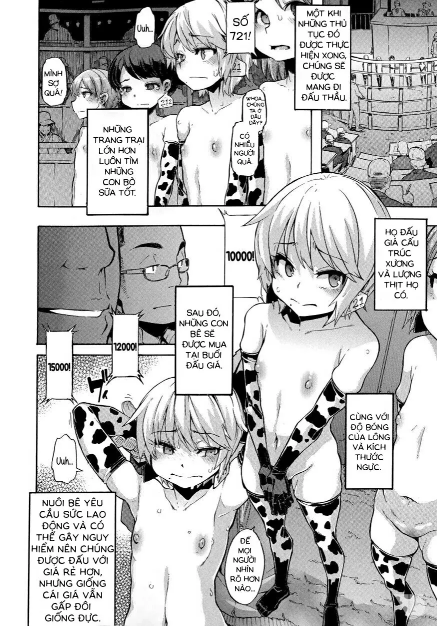 a Nyuugyuu life | a dairy cow's life - Full trang 4