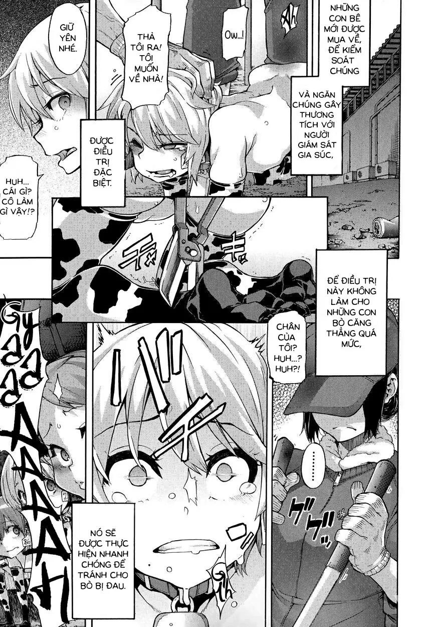 a Nyuugyuu life | a dairy cow's life - Full trang 5