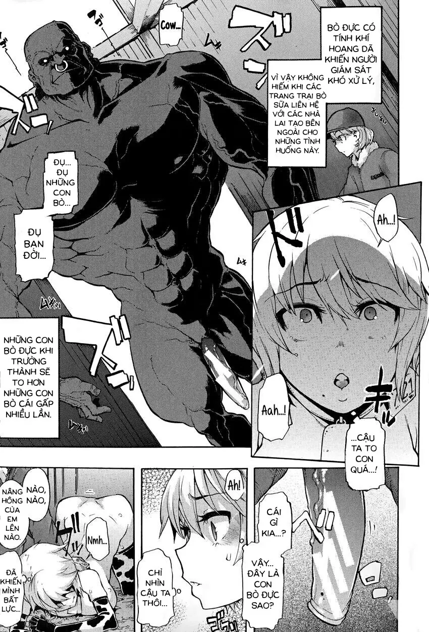 a Nyuugyuu life | a dairy cow's life - Full trang 9