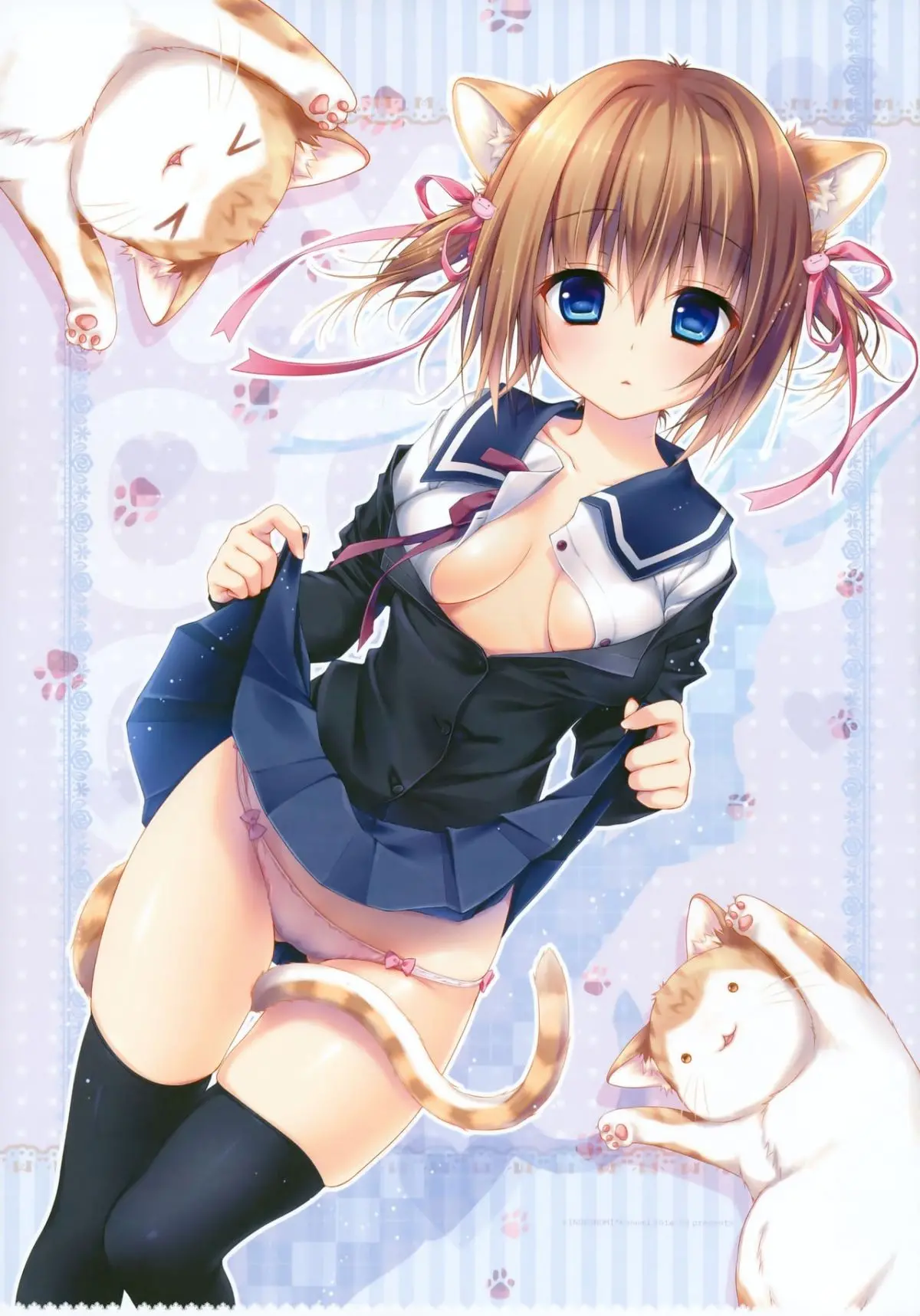 Nyancology 3 -Nekota-san To Houkago kakurenbo- - Full trang 2
