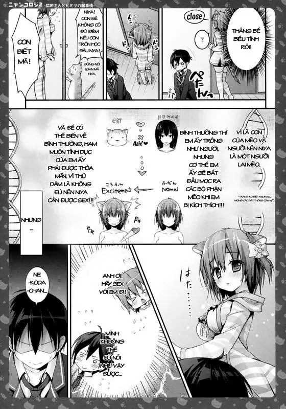 Nyancology 2 -Nekota-san to Himitsu no Asa Jijou- | Nyancology 2 -Nekota-san's Secret Morning Affairs- - Full trang 12