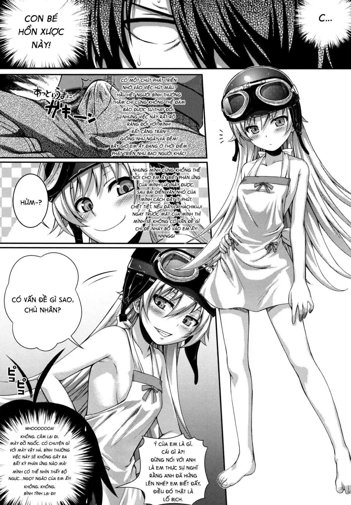 SAKKN Shinobu no Araragi Koyomi Kansatsu Nikki - Full trang 18