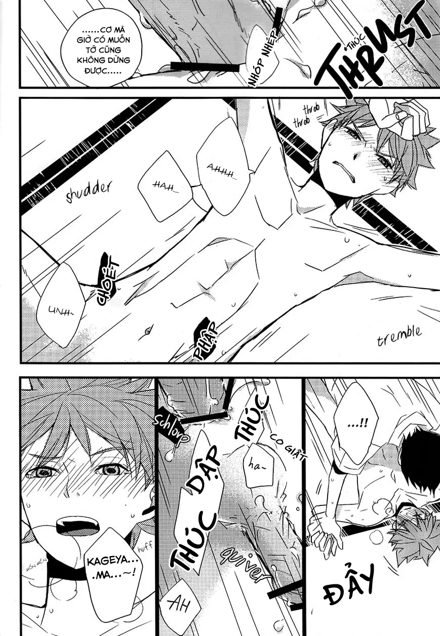 Kotowaru Riyuu wa Nai Daro? | You've Got No Reason to Refuse, Right? - Full trang 17