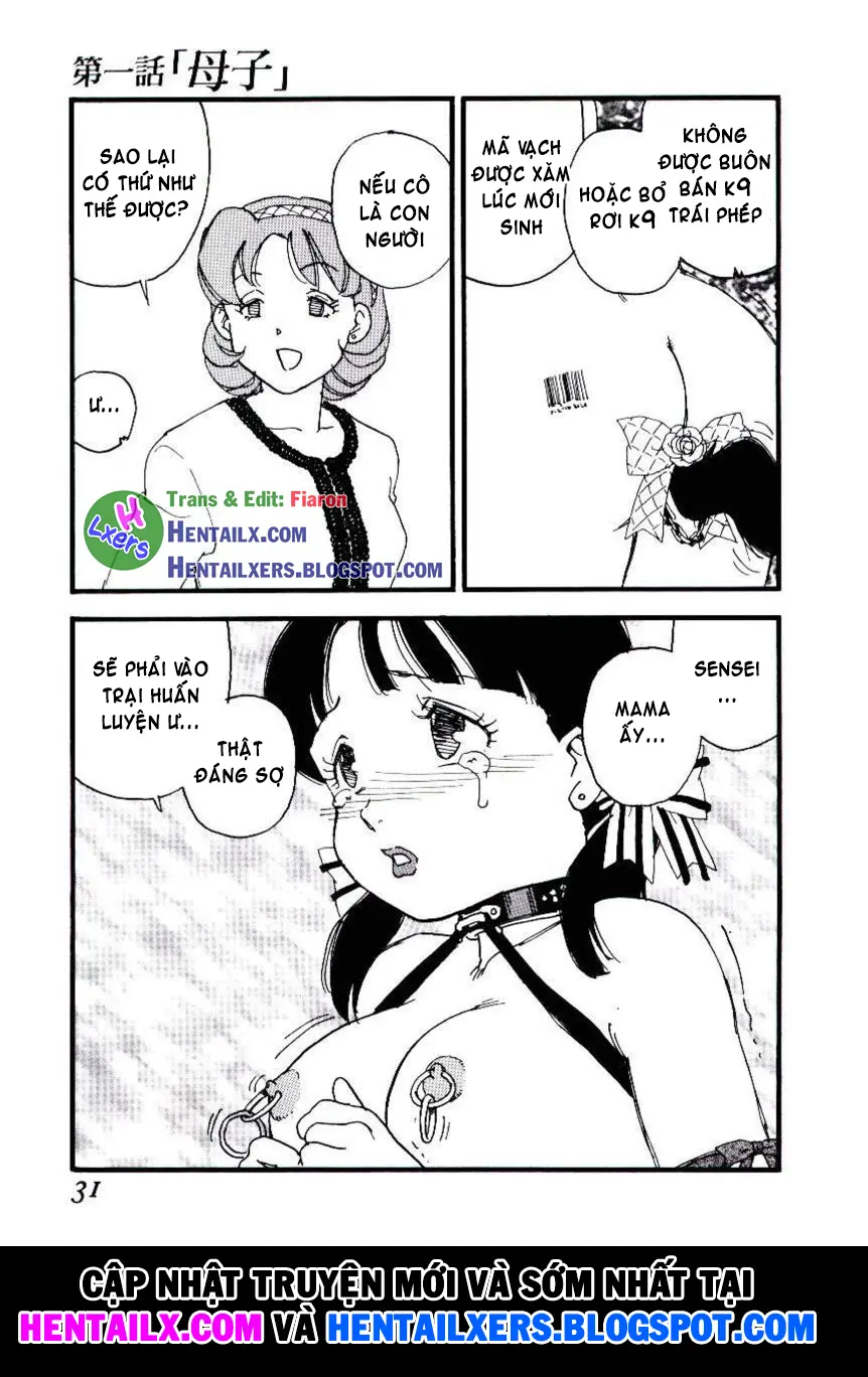 Volunteer Breeding - Full trang 30
