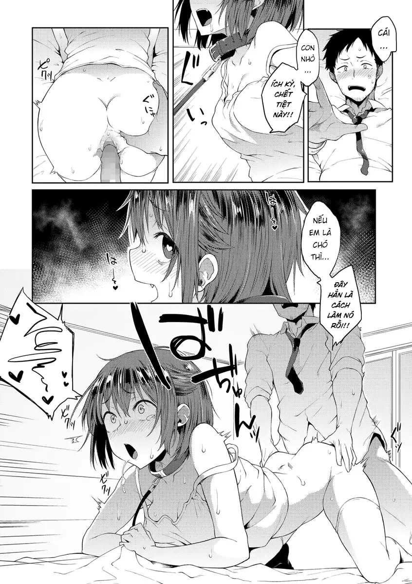 Wonder Collar - Full trang 12